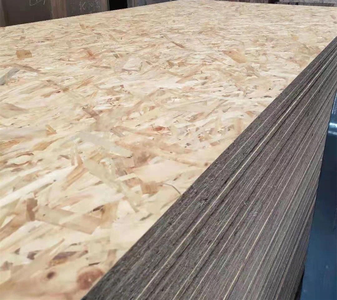 osb1_