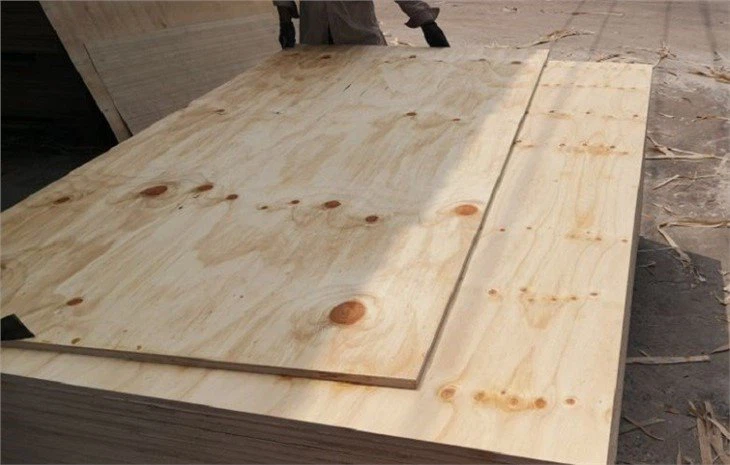 cdx pine plywood