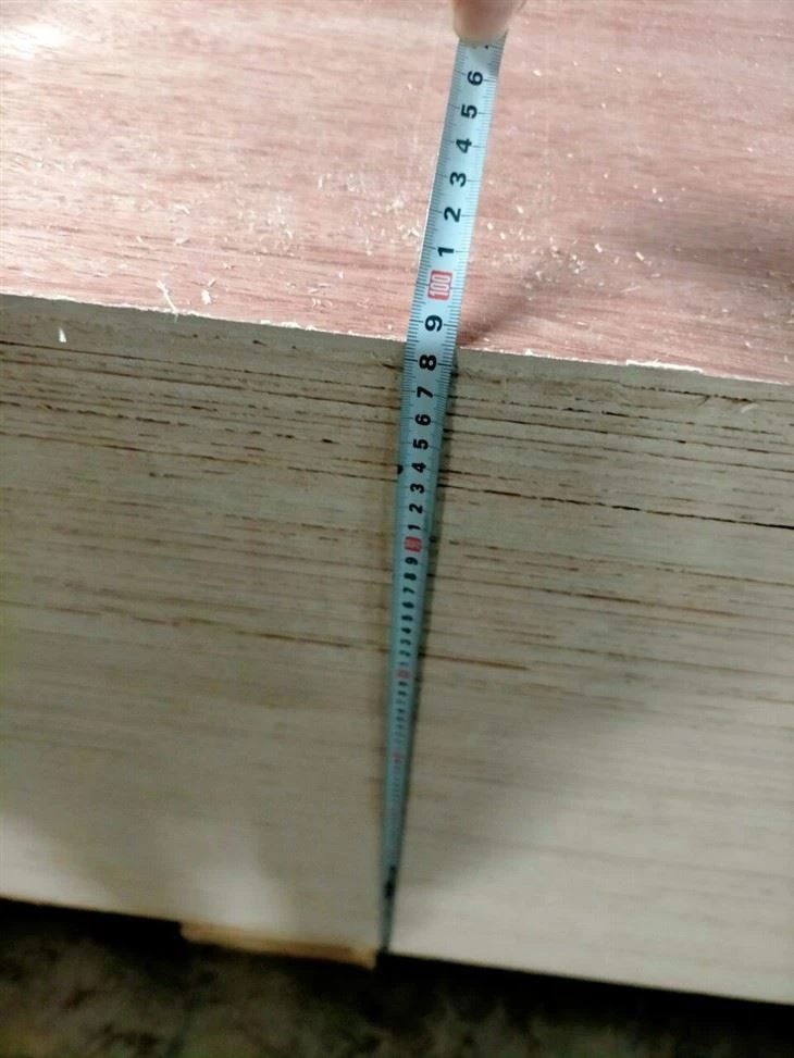 Bintangor Plywood Construction Grade