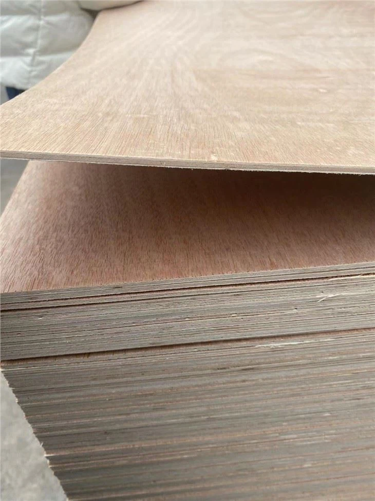 Bintangor Plywood Construction Poplar All Size And Thickness Teak Plywoods