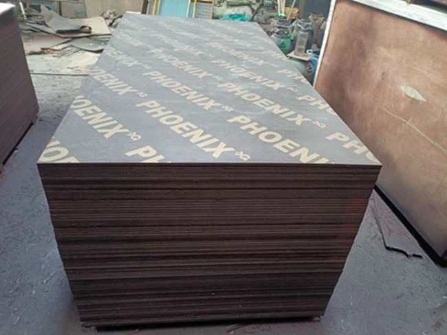 Black Film / Marina Board / XINGANG GROUP / XINA