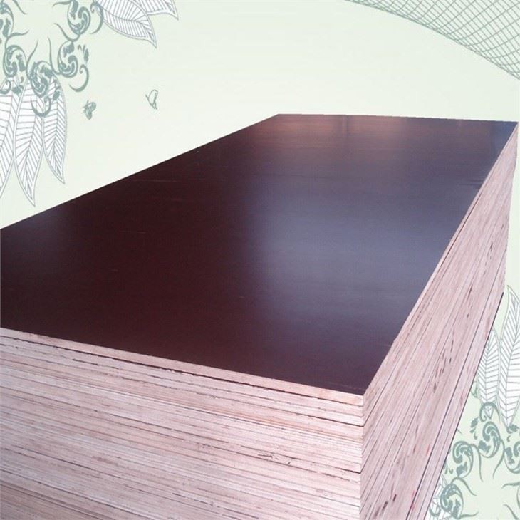 Poplar Main Material Film Faced Plywoods Sheet Middle East Market 15MM 18MM