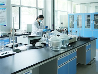 Institut de Recerca XINGANG