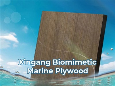 Xingang Biomimètica Marina Plywood Passes Sal Spray Test