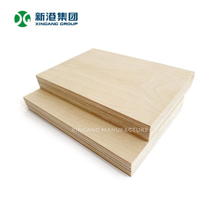 Buit-Full contraxapada de bedoll lliure 1220x2440 mm
