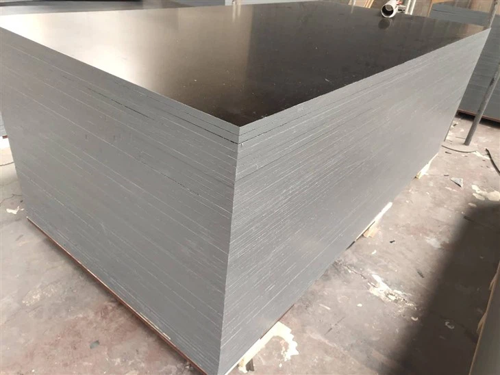 Xingang F17 Film Faced Plywood Birch Plywood For Construction Building Plywood Two Times Hotpress