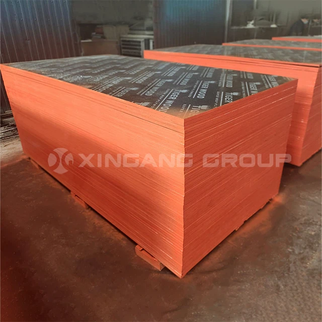 Xingang Marine Plywood